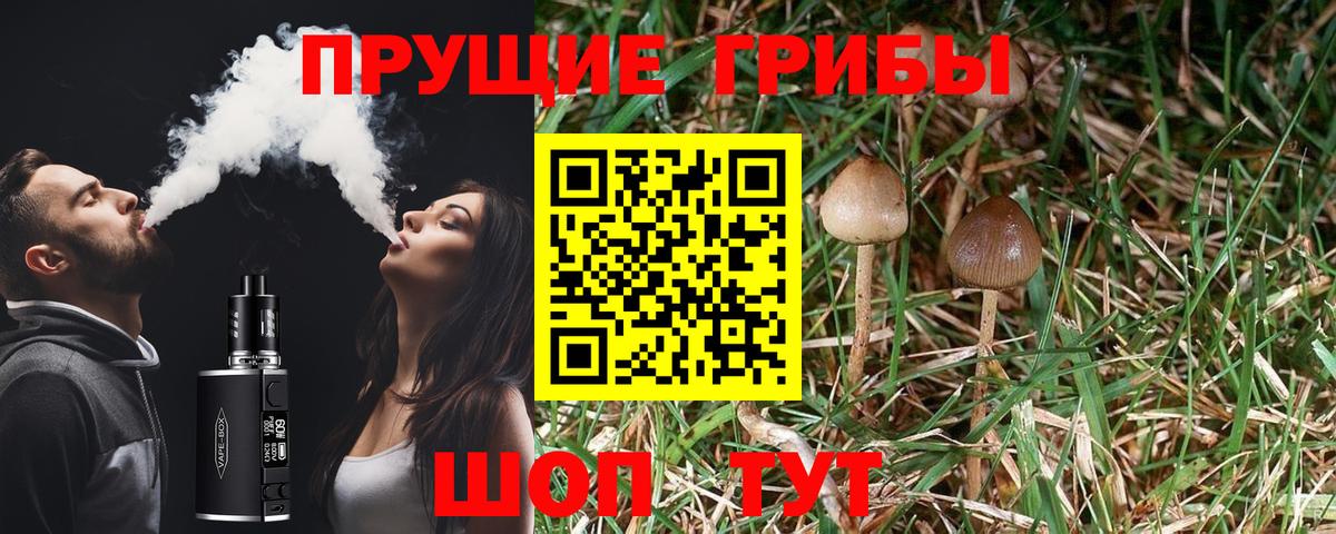 Галлюциногенные грибы Cubensis  Вход с VPN  Галлюциногенные грибы мухоморы  Буйнакск 