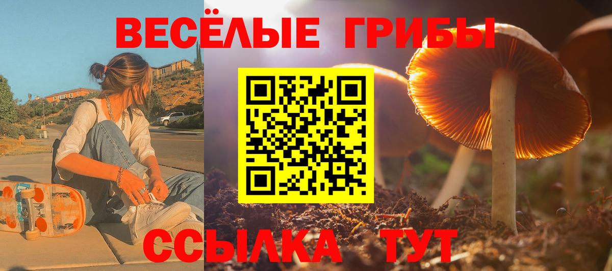 Галлюциногенные грибы Magic Shrooms Буйнакск